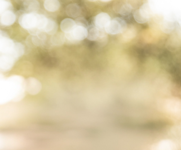 Soft, blurred outdoor background with warm sunlight and greenery.